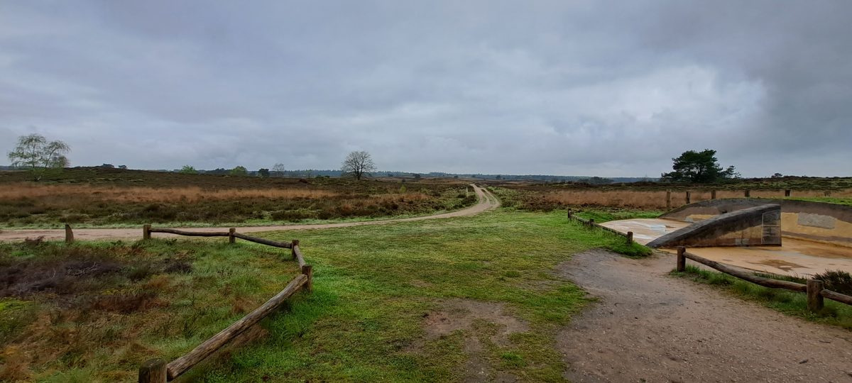 A bench and low wooden fence out on the Veluwe heath