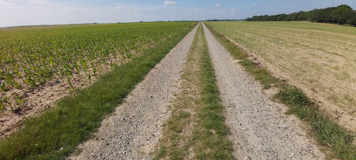 A long straight gravel path running through green farmland on the Pieterpad