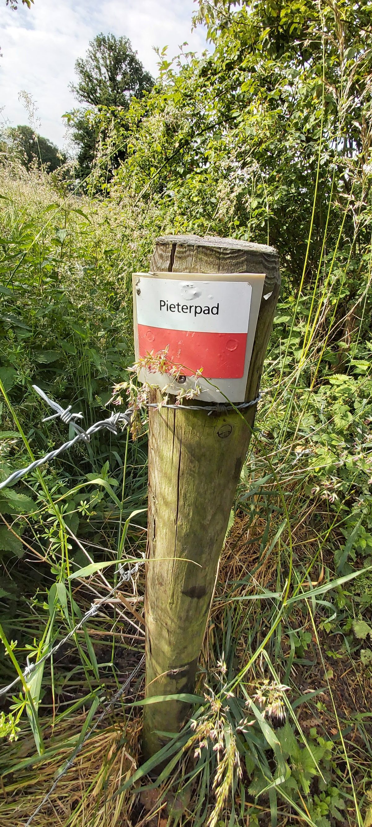 A marker post beside the Pieterpad on a quiet morning