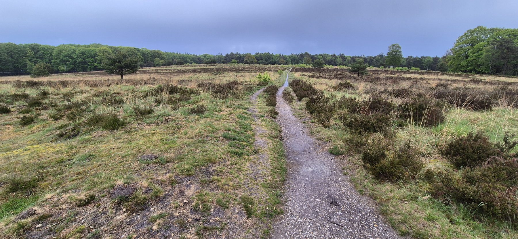 A narrow sandy trail cutting straight across open heather and grass on the Veluwe Zoom, under a moody grey-blue sky.