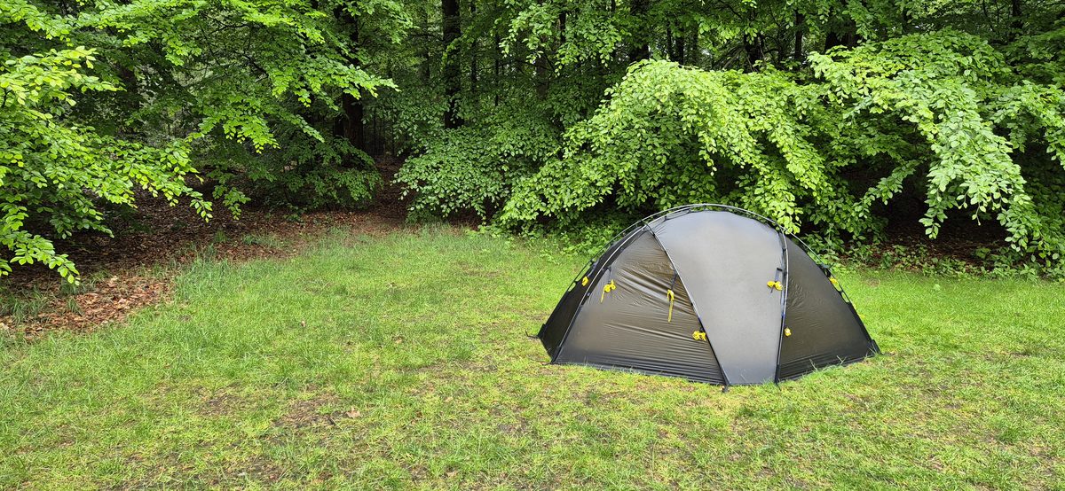 A Nortent Varde 1 tent pitched on a grassy clearing surrounded by green forest