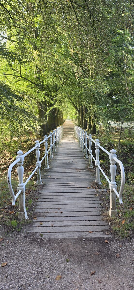 Narrow wooden footbridge with white railings leading into green trees