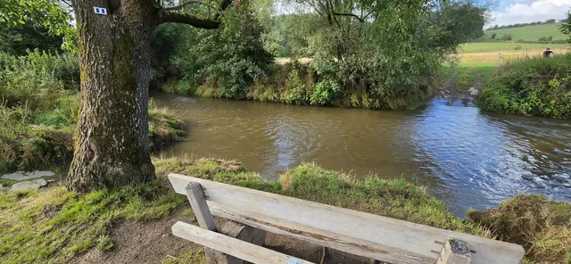 The river Geul running past a wooden bench under a large tree in South Limburg.