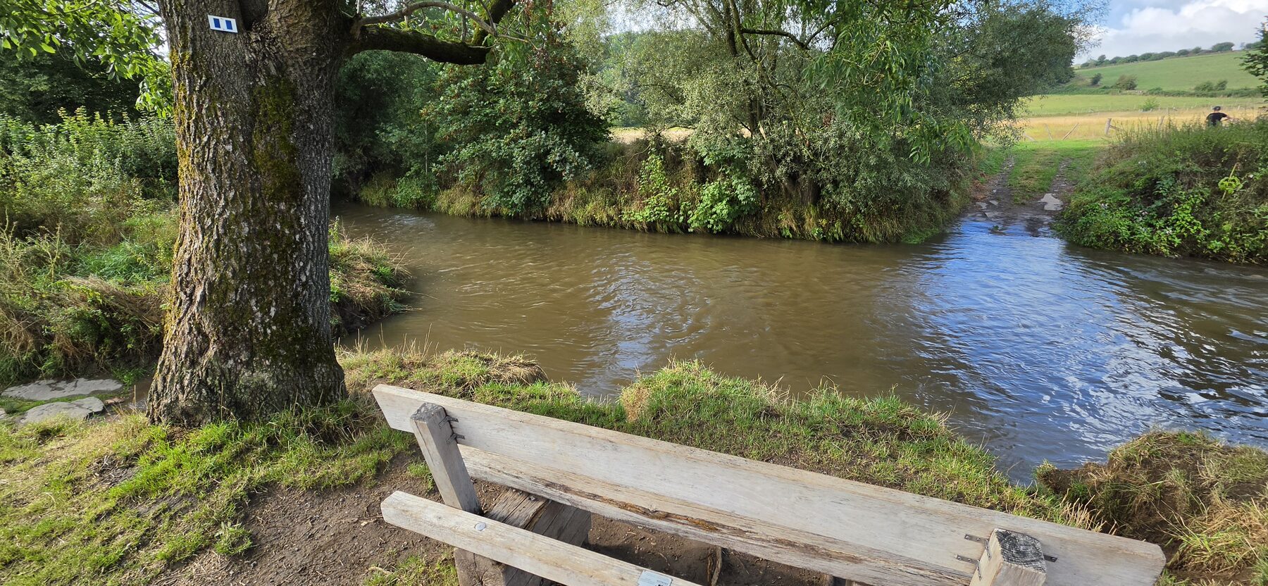 The river Geul running past a wooden bench under a large tree in South Limburg.