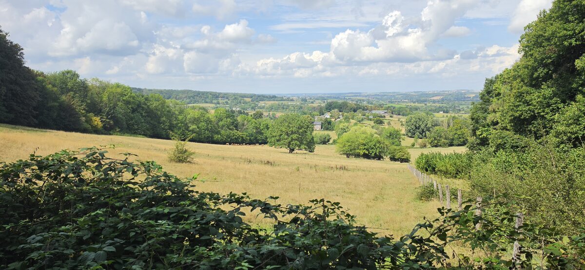 Wide view over rolling green countryside from a wooded edge on day one