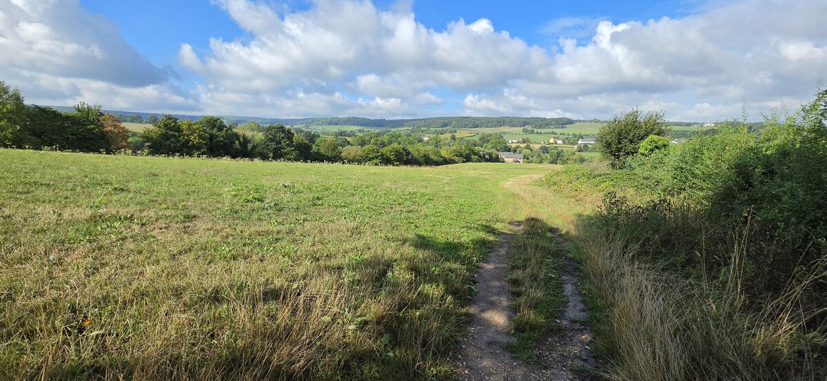 Footpath through a meadow with a wide sky over the Geul valley