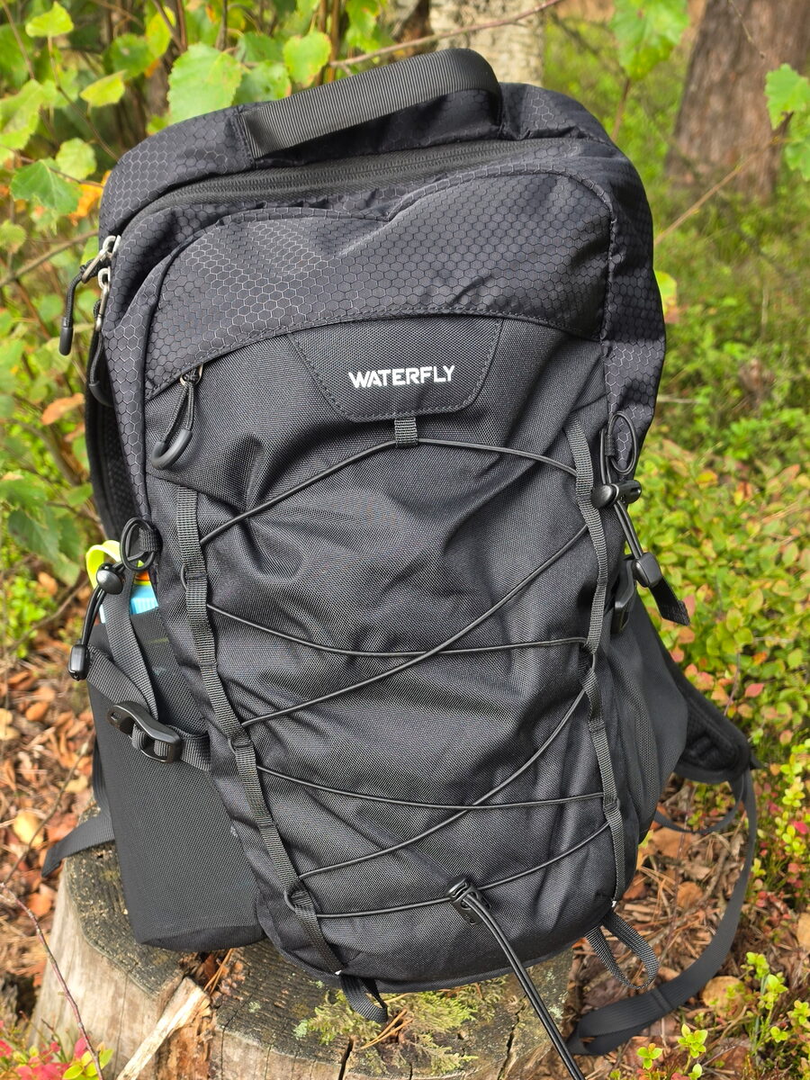 WATERFLY 20L daypack standing on a tree stump in a forest on the Veluwe
