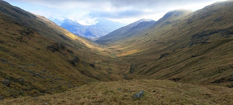 Wild glen in the Scottish Highlands