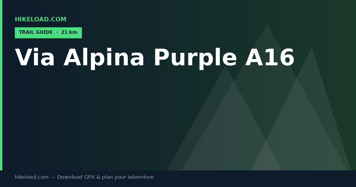 Via Alpina Purple A16 trail guide